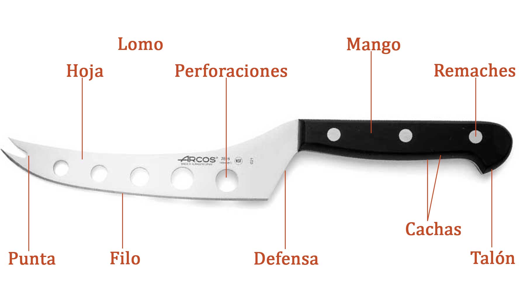 Partes de un cuchillo para cortar queso