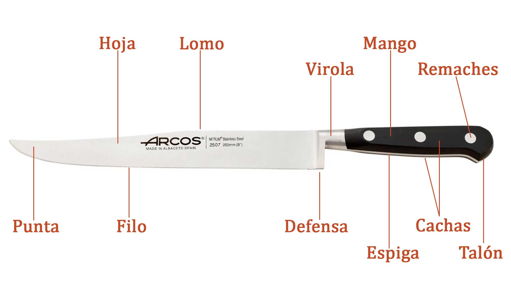 Partes de un cuchillo trinchante