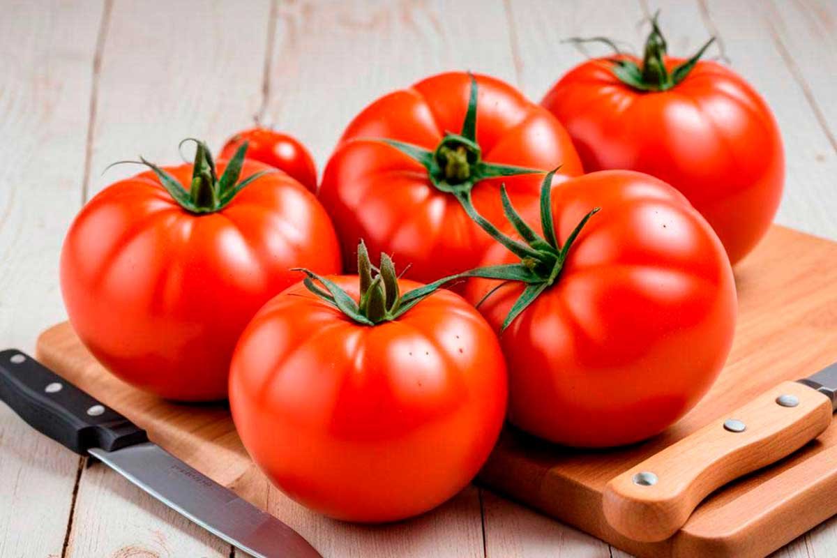 Varios tomates sobre una madera de cocina junto a dos cuchillos